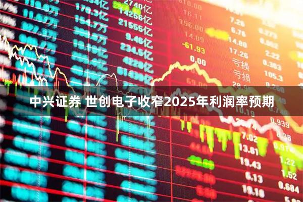 中兴证券 世创电子收窄2025年利润率预期