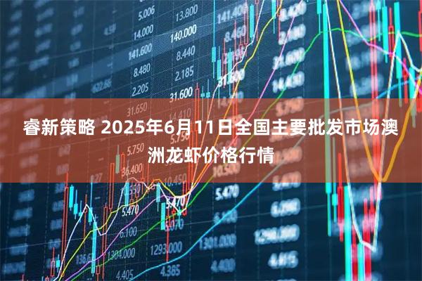 睿新策略 2025年6月11日全国主要批发市场澳洲龙虾价格行情