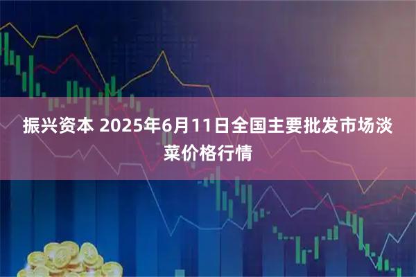 振兴资本 2025年6月11日全国主要批发市场淡菜价格行情