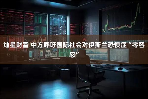 灿星财富 中方呼吁国际社会对伊斯兰恐惧症“零容忍”